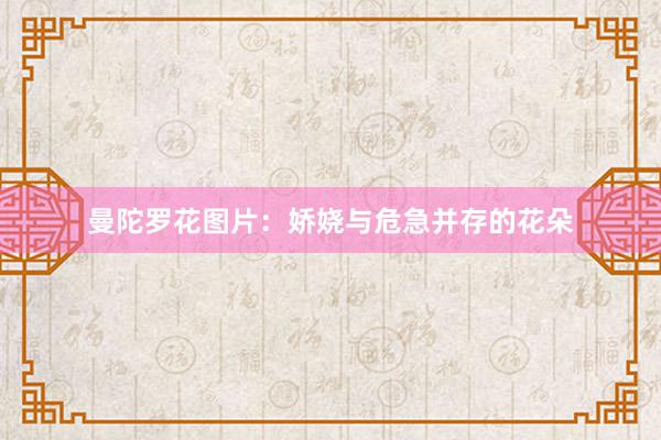曼陀罗花图片：娇娆与危急并存的花朵