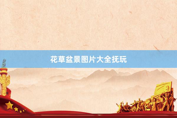 花草盆景图片大全抚玩