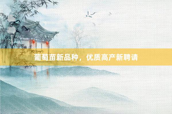 葡萄苗新品种，优质高产新聘请