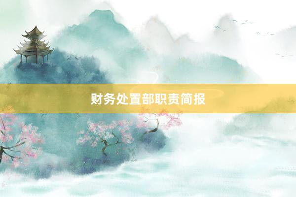 财务处置部职责简报